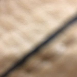 Meet your Posher, Candice